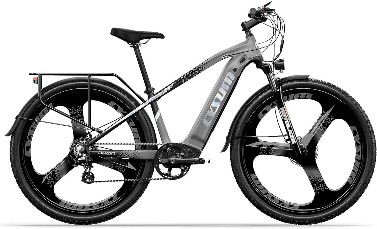 Speedy Vélo électrique adulte – 250 W, 15 Ah, gris/noir